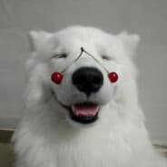 superdog24