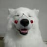 superdog24