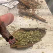 trapology