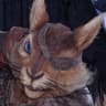 Ratatoskr