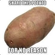 Q_Q