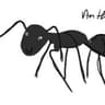 ant [Selling/Trading Items]