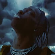 XO FE!N Timeless