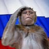 The Patriot Monkey