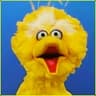 Big Bird