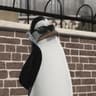 kowalski