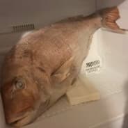 Marcus Poing fish