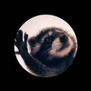 Pedro Pedro Pedro ????