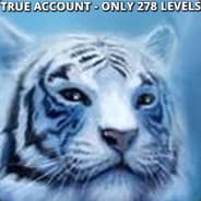 ????Conan-trader????