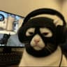 DimonPlays