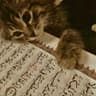 Fiendish Feline