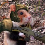 Warpstone Hamster