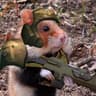 Warpstone Hamster