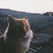 depz0r