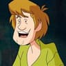 Shaggy