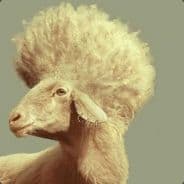 TheSheeper