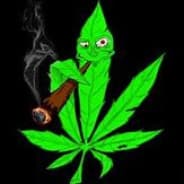 Lurco88