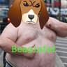 Beaglefat