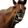 Horsecock