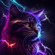 Meow????