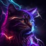 Meow????
