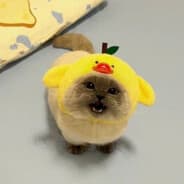 aaaaaaaaaaaaa