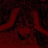 hapaev666 (shelbywalk)