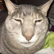 ^8Tuber_^2DEGENERATor