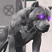 osnova