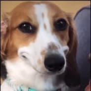 qq