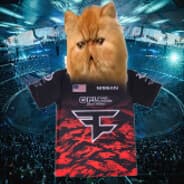P1W PAW
