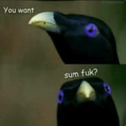 Jdydiwkbdj
