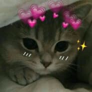 Kitty ???????? ฅ^•ﻌ•^ฅ