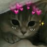 Kitty ???????? ฅ^•ﻌ•^ฅ
