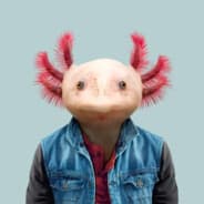 I-am-Salamander