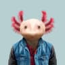 I-am-Salamander