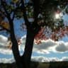twilight lake 2