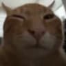 buh