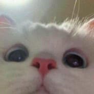 Whiskas
