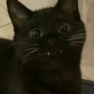 xdd