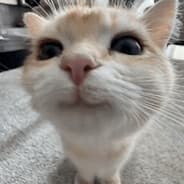 queso