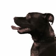 BRILLA