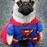Superman2012