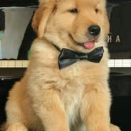 kodi