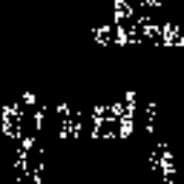 xzsdrbnj