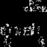 xzsdrbnj