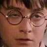 Harry Pothead
