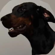 jedwabna gwiazda 69