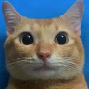xdxd
