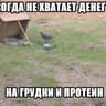 gULNUR